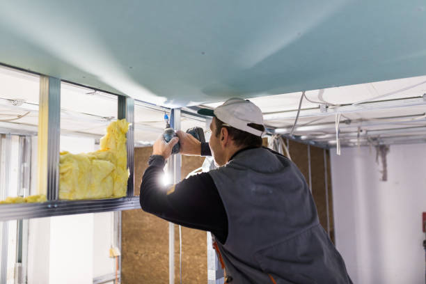Best Spray Foam Insulation in Flower Mound, TX
