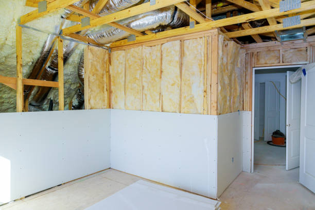 Best Eco-Friendly Insulation in Flower Mound, TX
