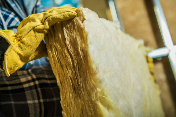 Best Insulation Maintenance and Repair in Flower Mound, TX